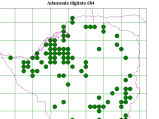 Dot map image