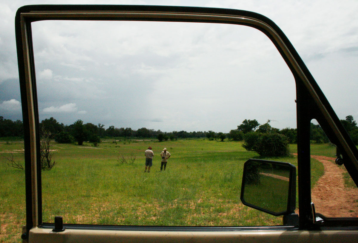 The open sandy areas yield a wealth of annual species in summer